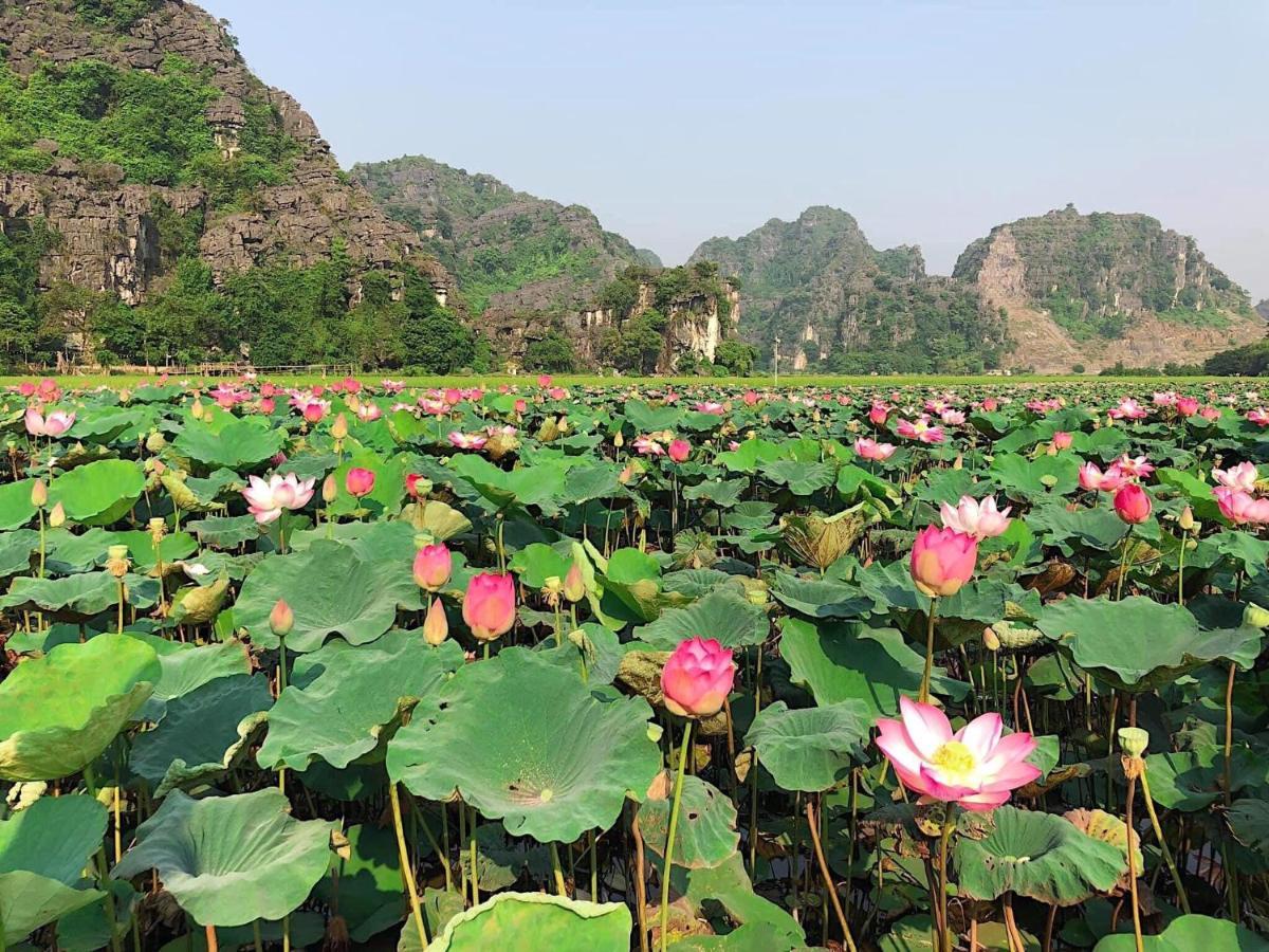 Tam Coc Heart Homestay Ніньбінь Екстер'єр фото